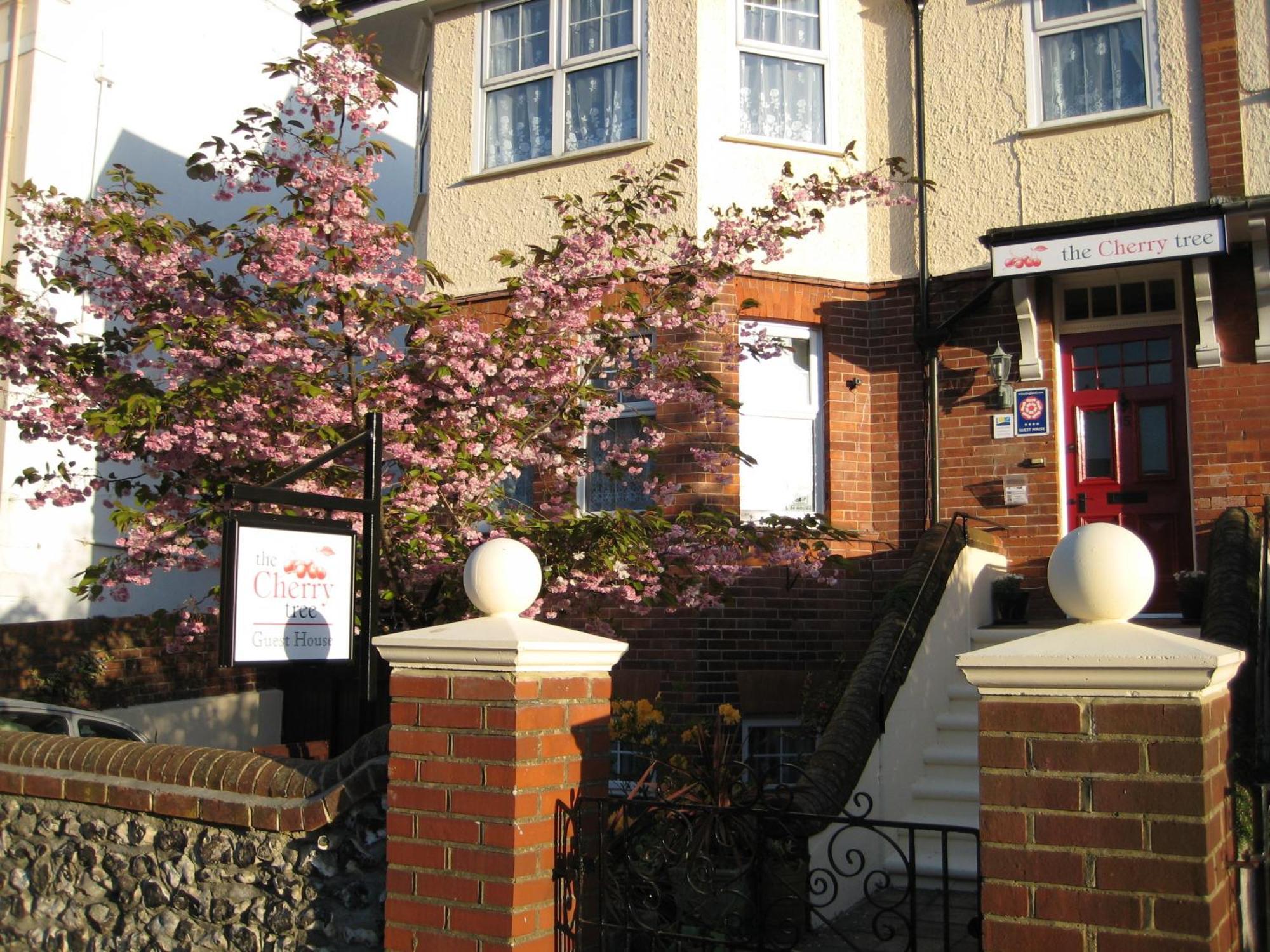 The Cherry Tree Guest House Torneo de Torneo de Eastbourne Exterior foto