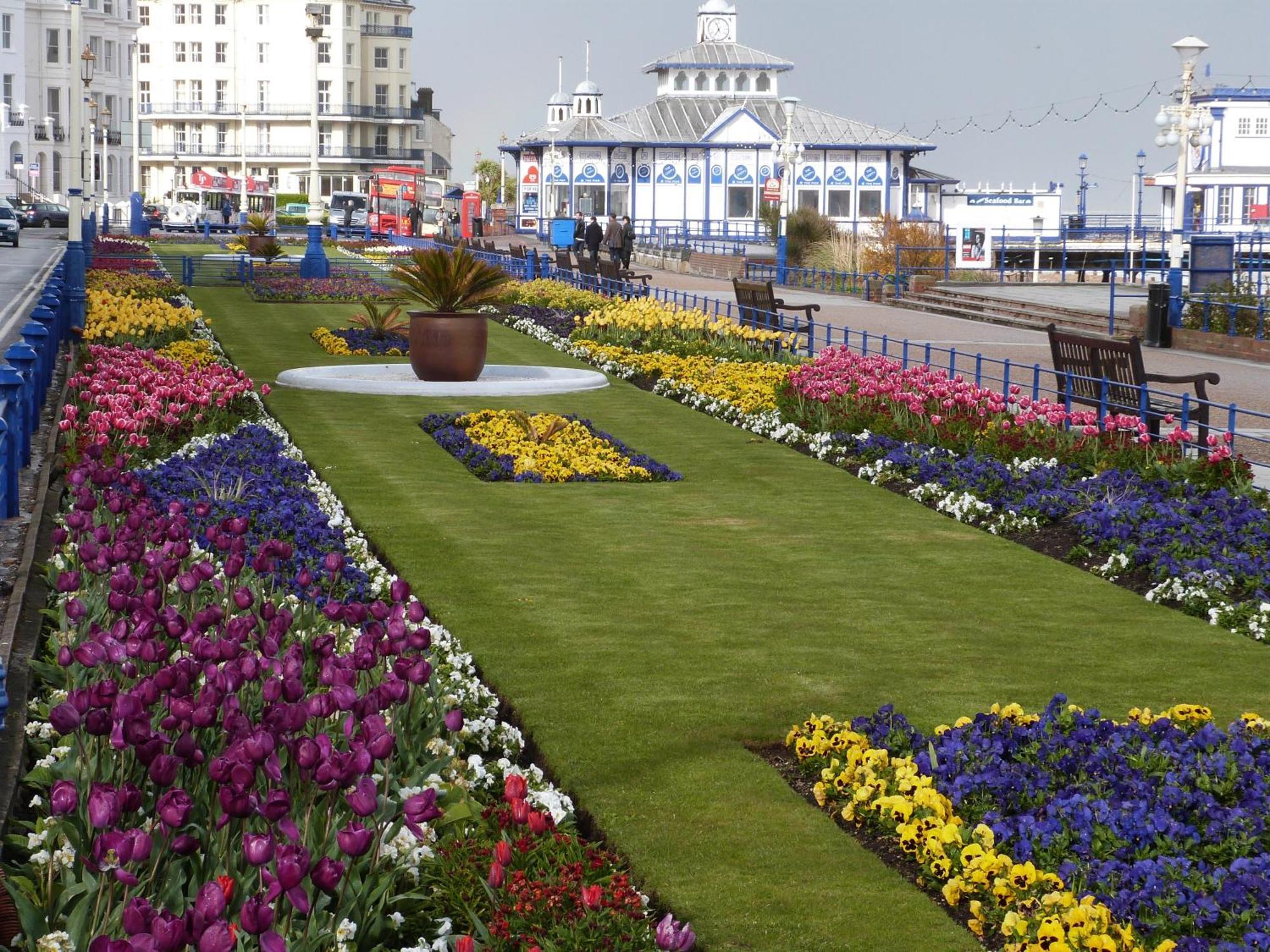 The Cherry Tree Guest House Torneo de Torneo de Eastbourne Exterior foto