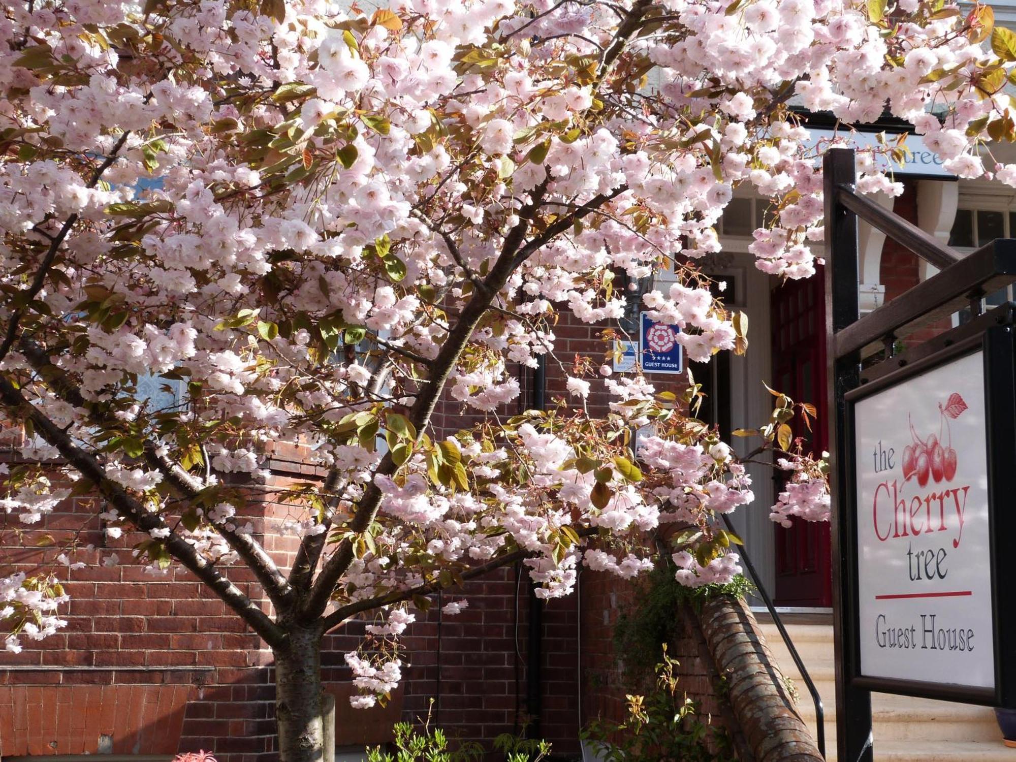 The Cherry Tree Guest House Torneo de Torneo de Eastbourne Exterior foto